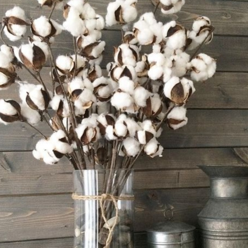 7 cotton ball stem 19" farmhouse